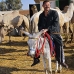 market_camel_embaba_cai_v_0134_egy0404.jpg
